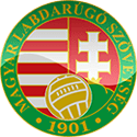 Wales vs Hungary Soccer Betting Tips 